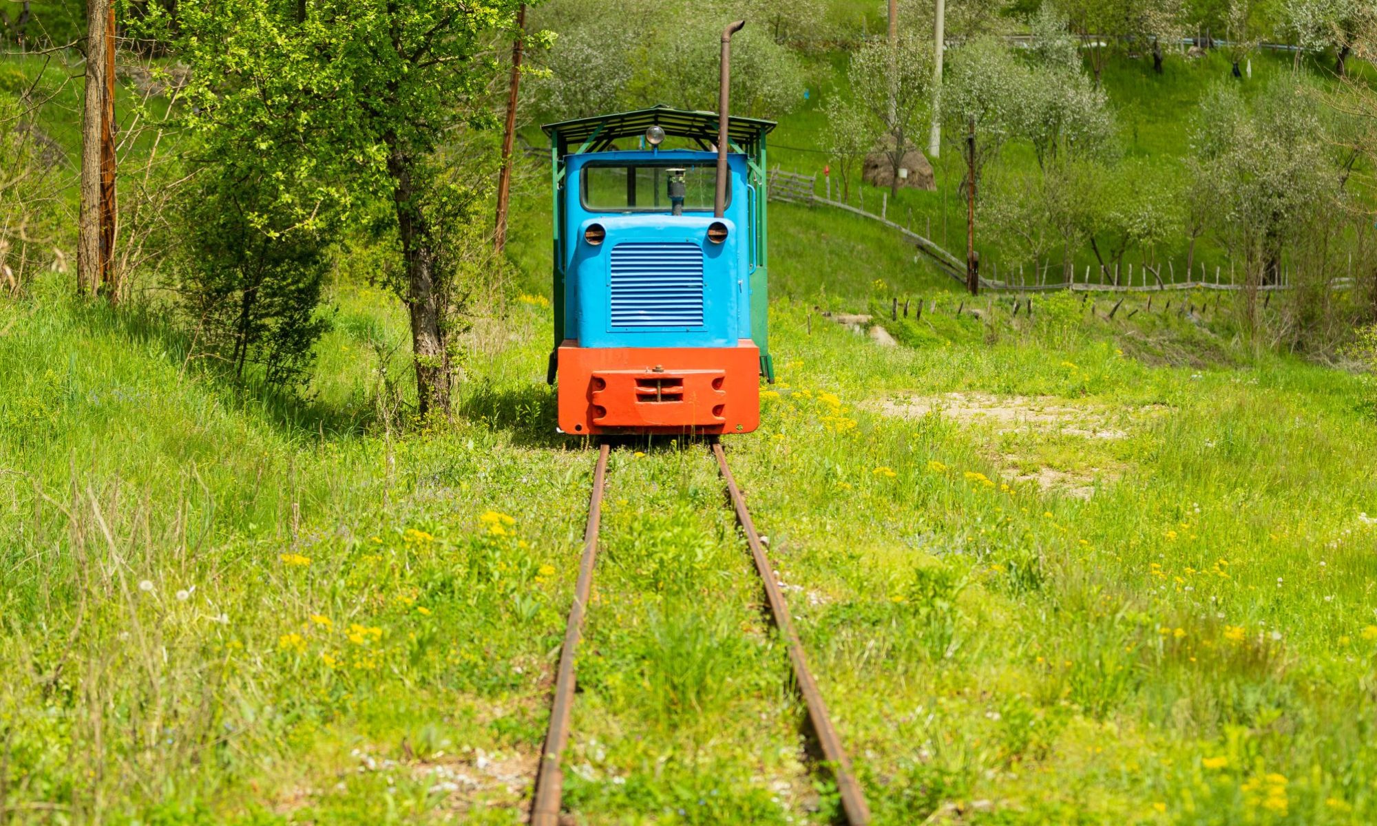 Small tourist train called "Mocănița Apusenilor" on a narrow-gauge railway
