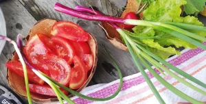 Vegetables from our free-pick eco garden on a wooden table